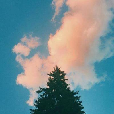 赌博pg电子平台截图